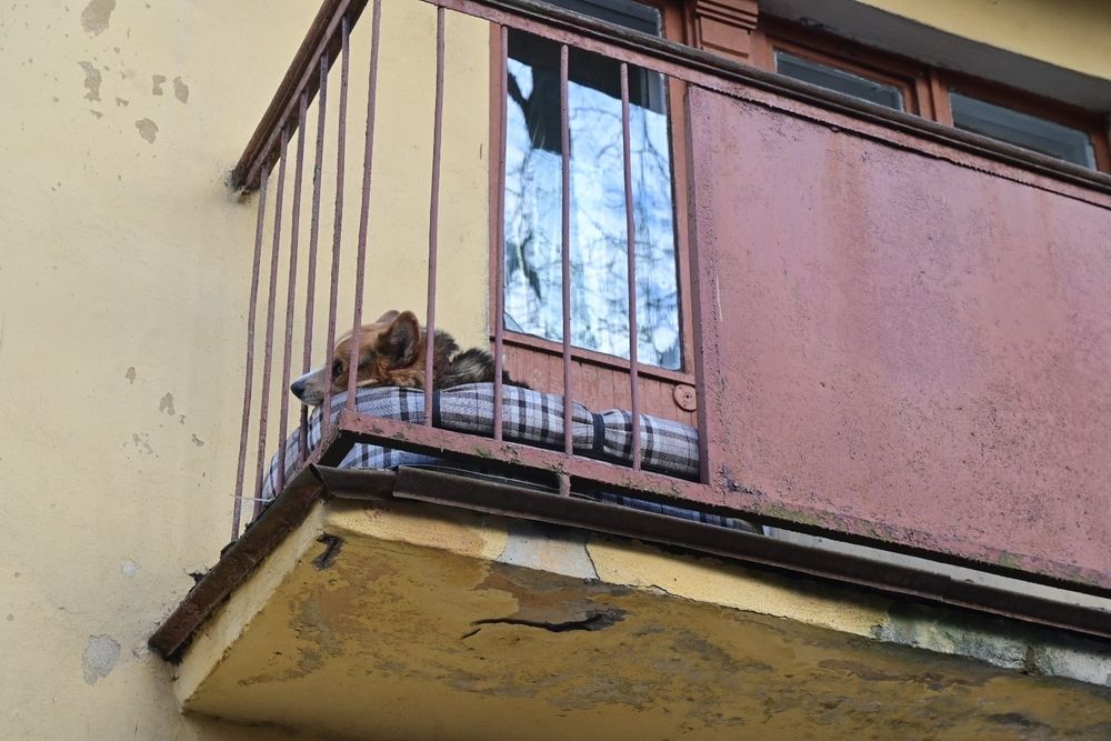 Photograph by Евгений Николаенков