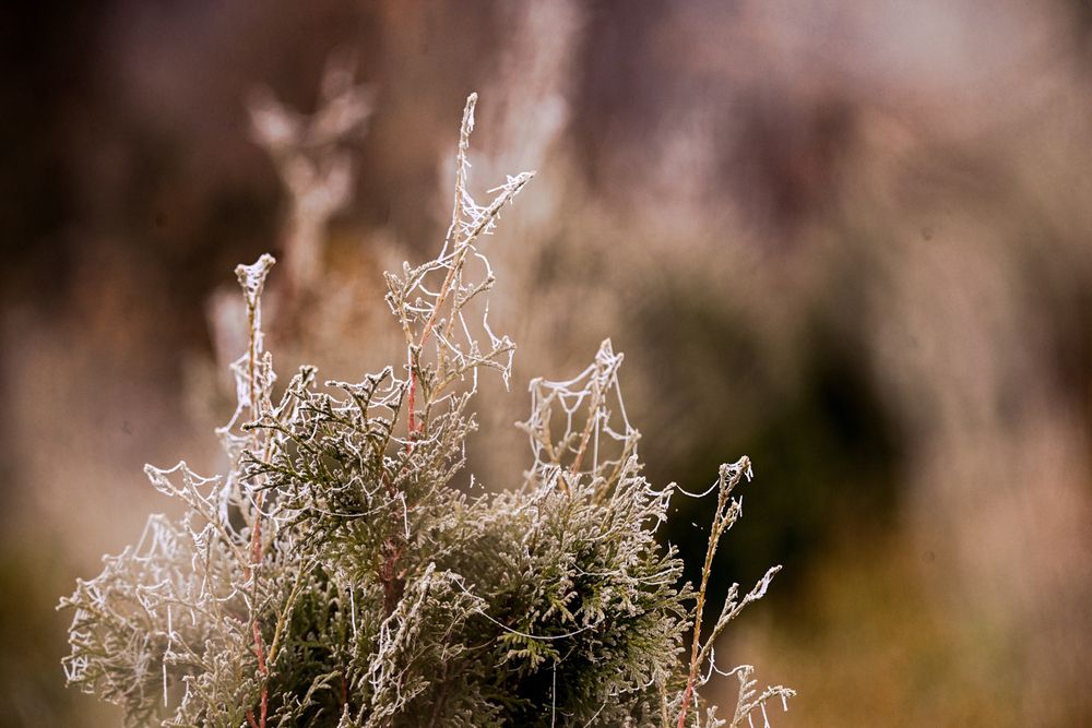Photograph by Евгений Николаенков