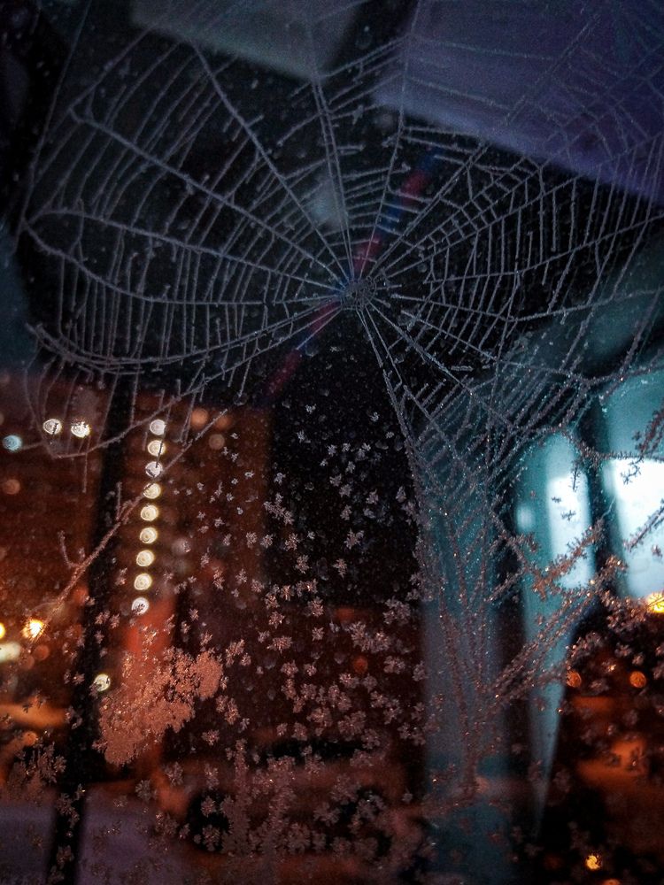 Фотография автора Мария Тюрина