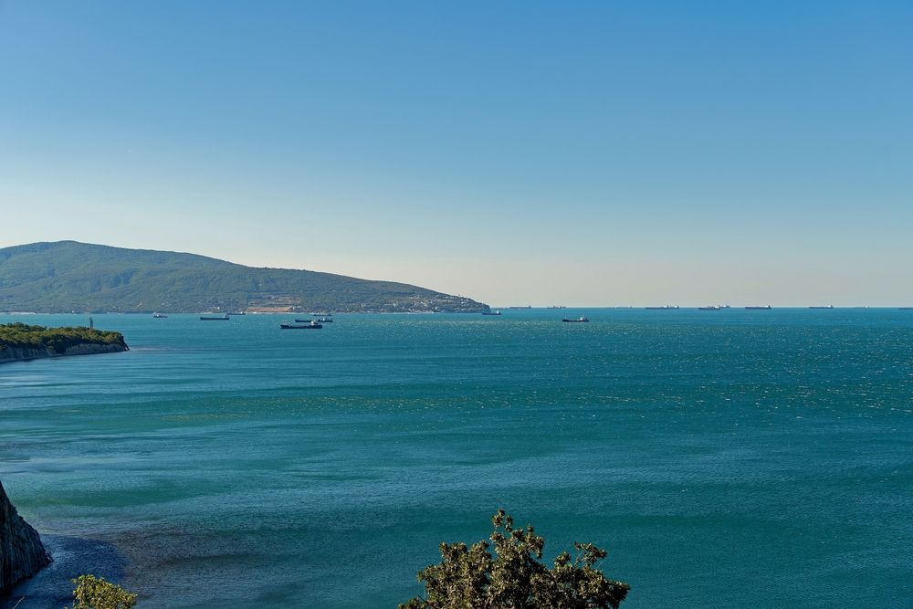 Photograph by Михаил Косолапов