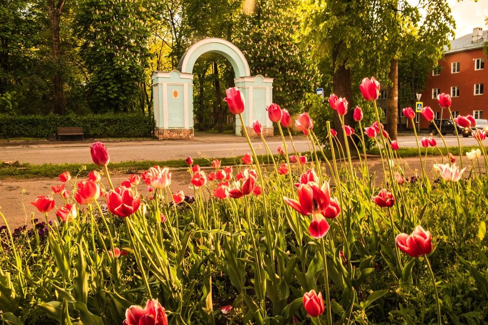 Photograph by Евгений Николаенков