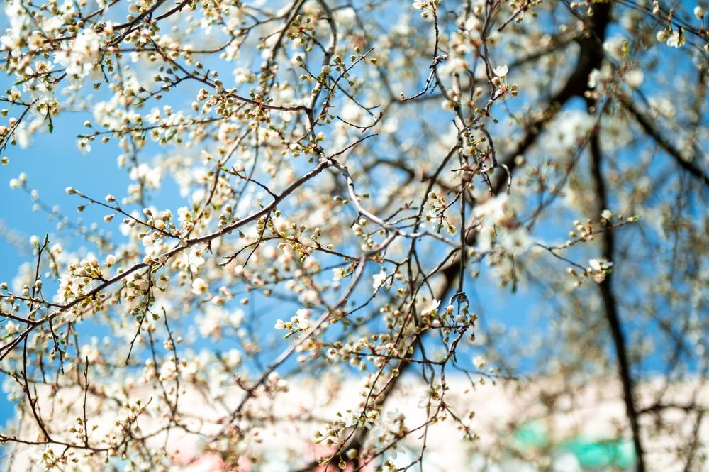 Photograph by Евгений Николаенков