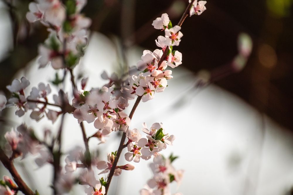 Photograph by Евгений Николаенков