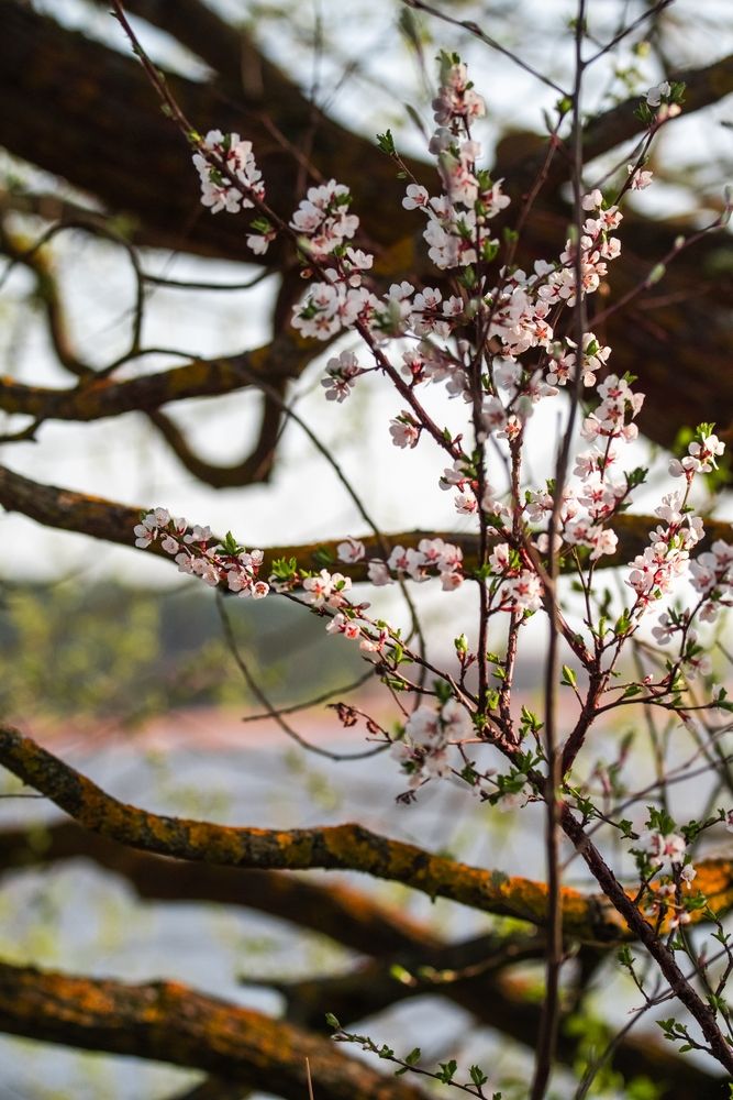 Photograph by Евгений Николаенков