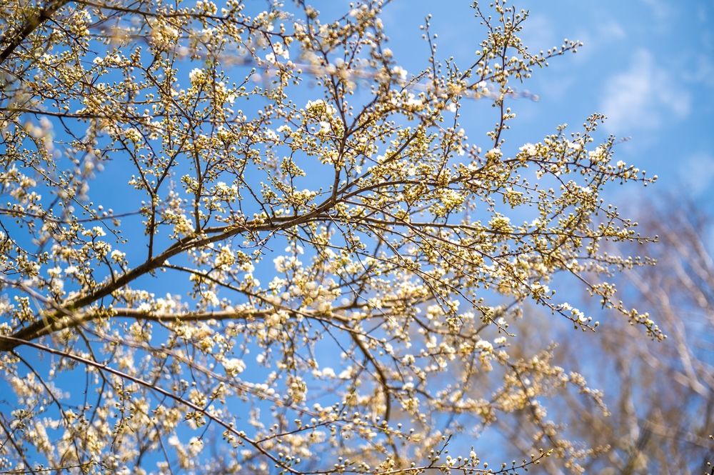 Photograph by Евгений Николаенков