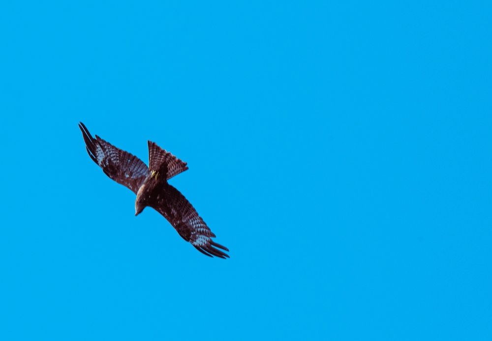 Photograph by Евгений Николаенков