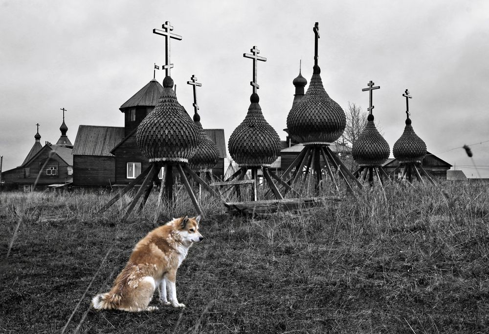 Одиночество