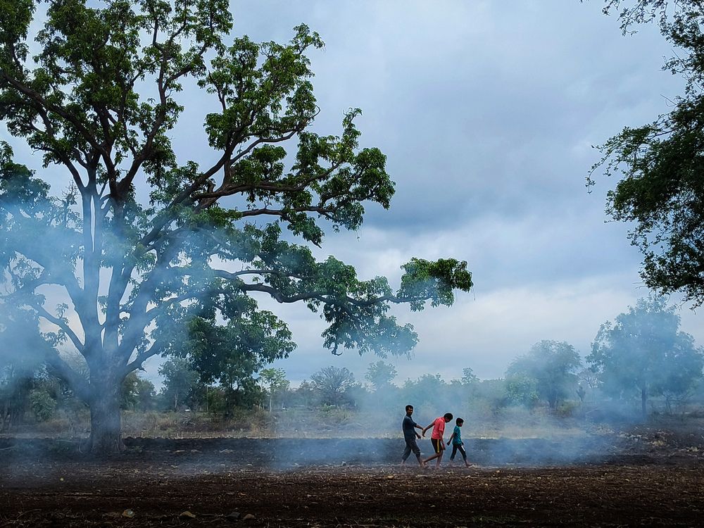 Three Souls & a tree
