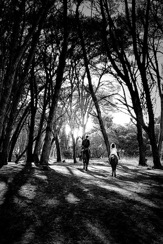 Photograph by Roberto Hagemann