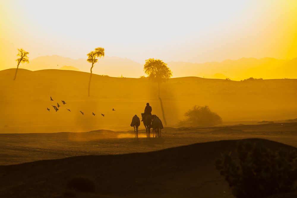 Photograph by Zubair Irshad