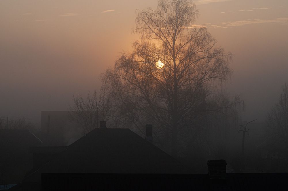 Photograph by Леонид Безручко