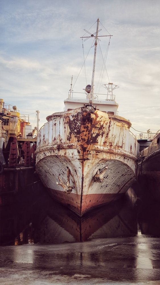 Фотография автора Ольга Гаевская
