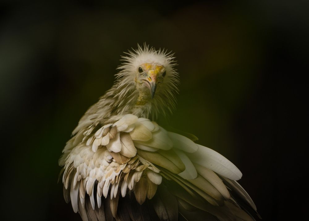 Photograph by Юрий Юрьевич Подгрушный