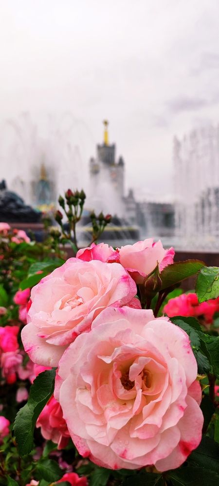 Photograph by Анастасия Большакова