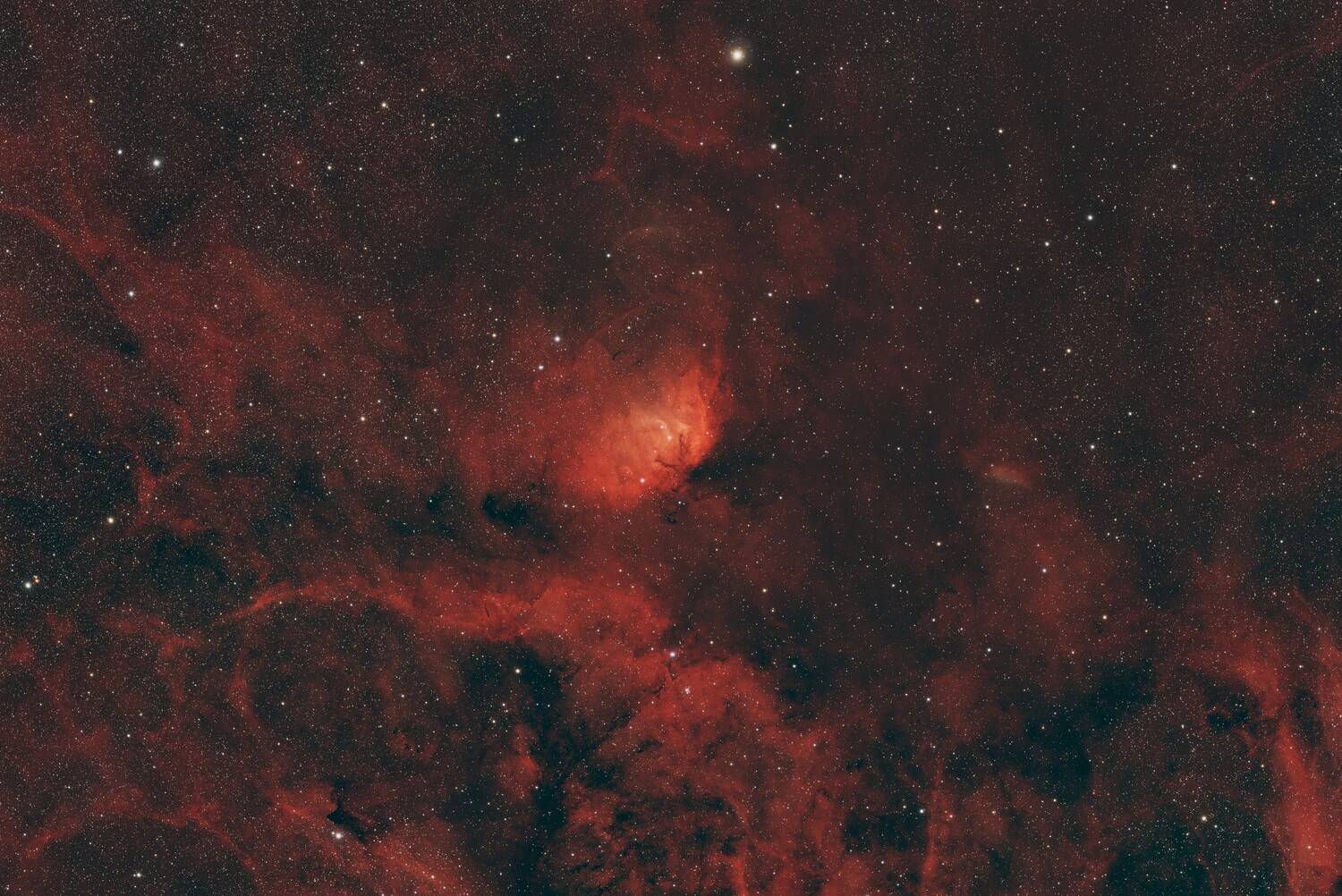 Туманность Sh 2-101 (Tulip Nebula)