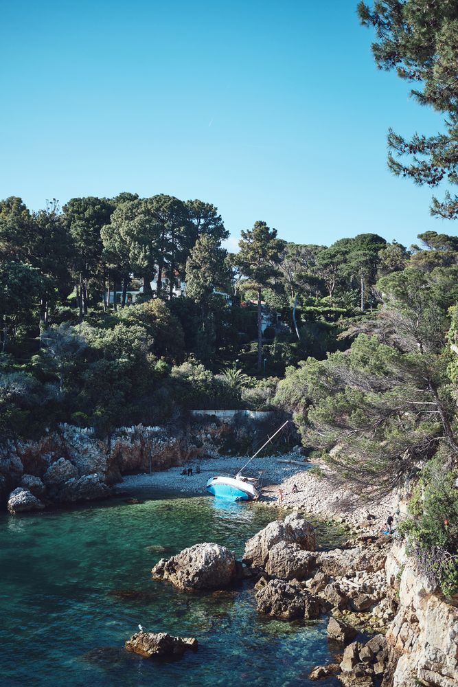 Фотография автора Владимир Эделев