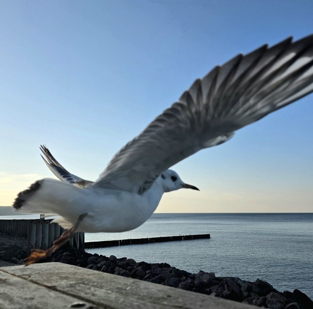 Photograph by Владимир Кублицкий