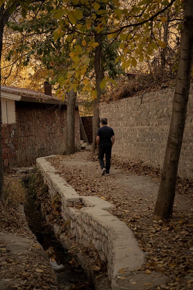 In the silence of the leaves