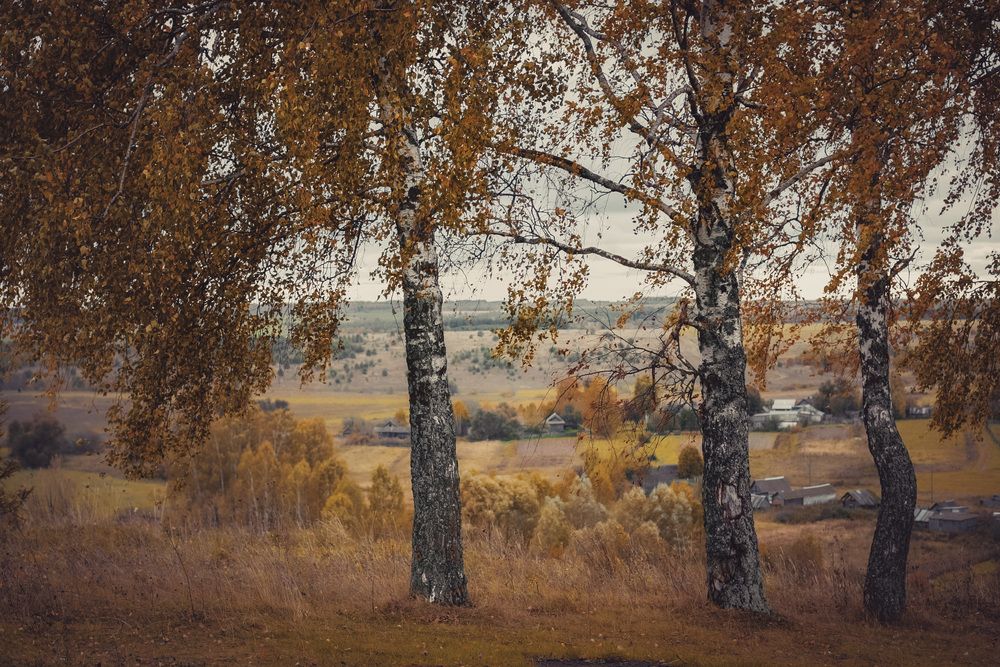 Photograph by Сергей Забиякин