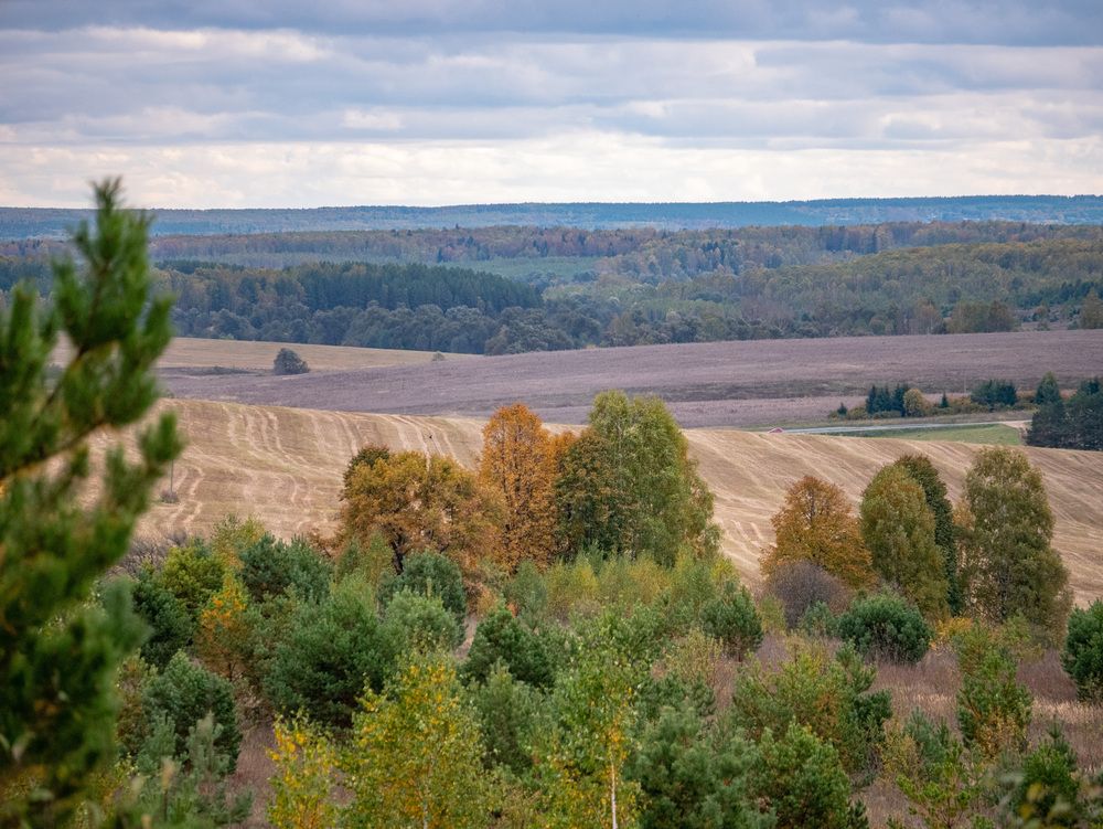 Photograph by Сергей Забиякин