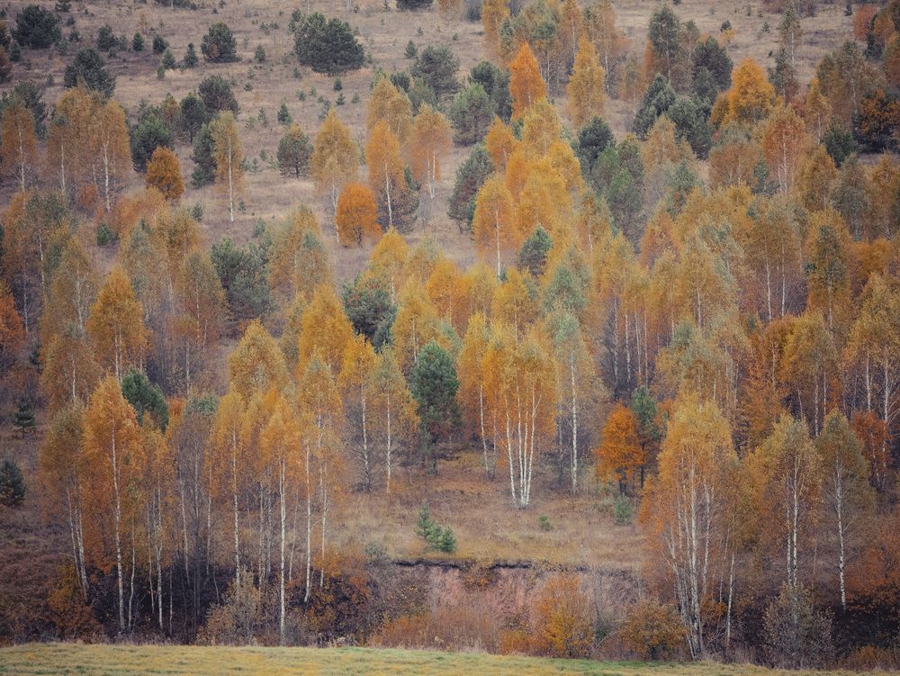 Photograph by Сергей Забиякин