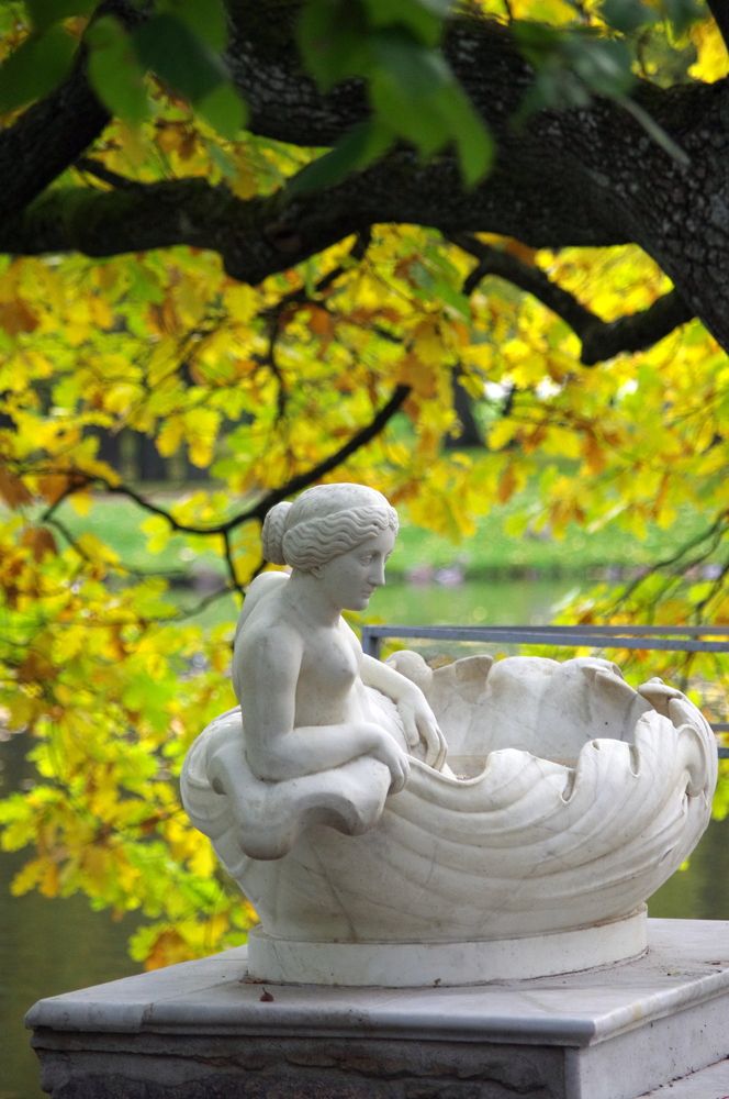 Фотография автора Galina