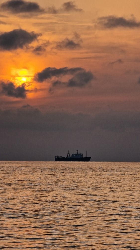 Фотография автора Георгий Черник