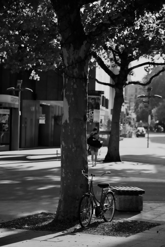 Photograph by Alena Tureva