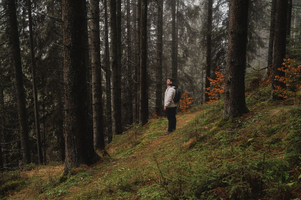 Фотография автора Сухенко Олег