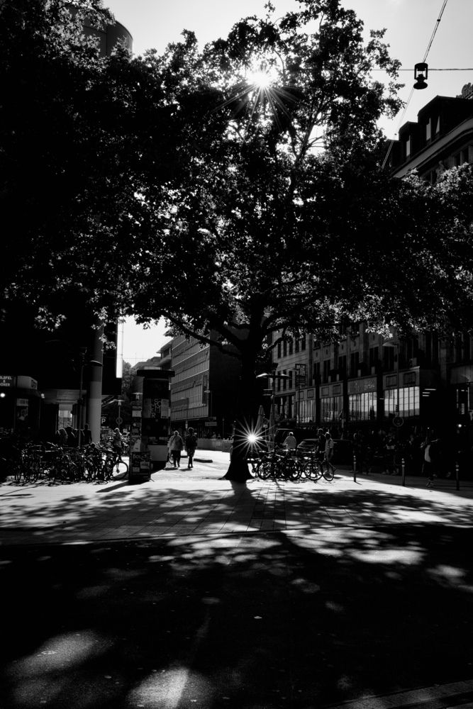 Photograph by Alena Tureva