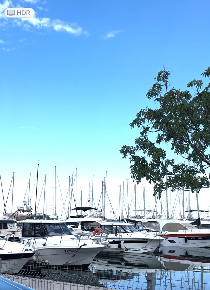 Фотография автора Büşra Bekar