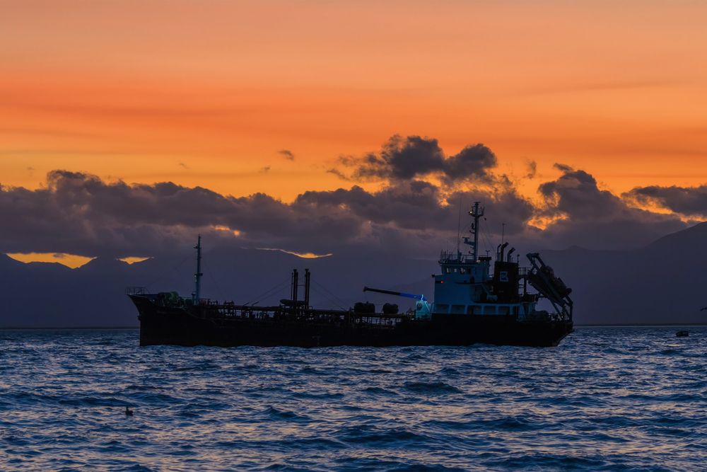 Фотография автора Григорашев Денис