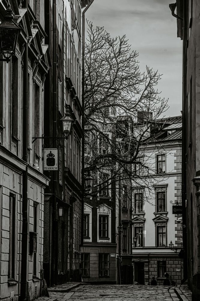 Фотография автора Ruslan Badykov