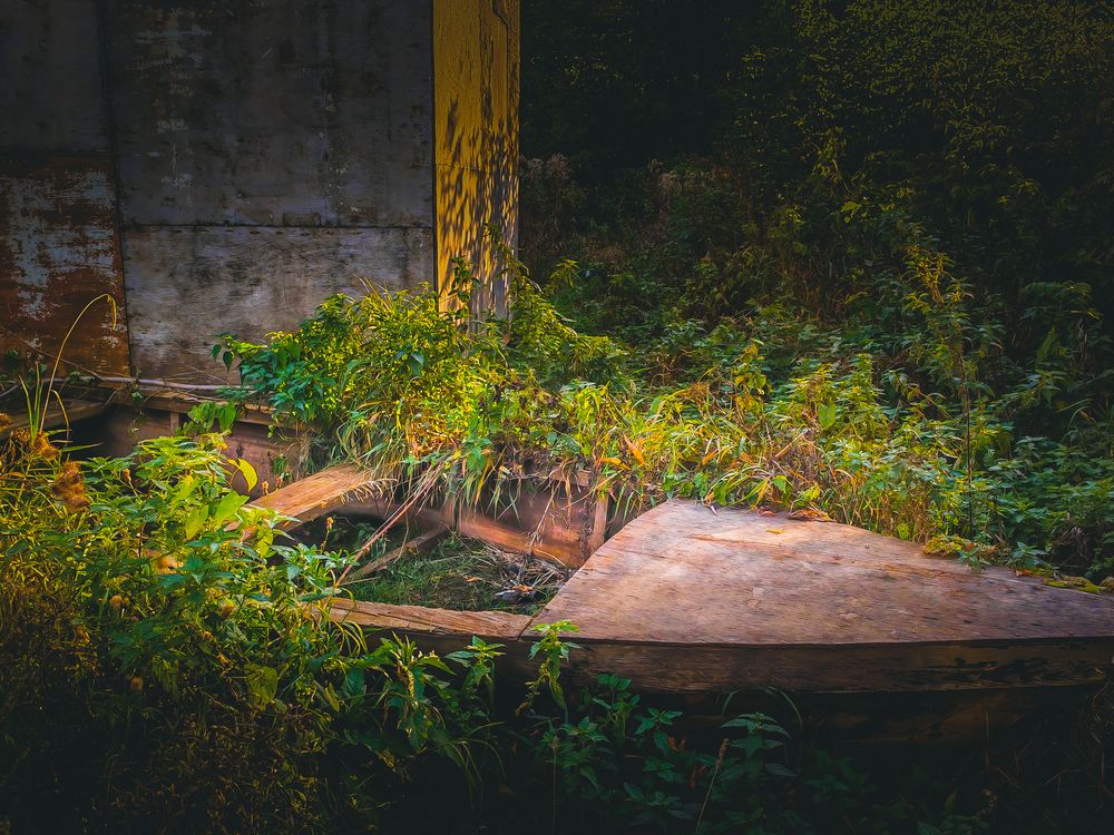 Photograph by Максим Кутсар