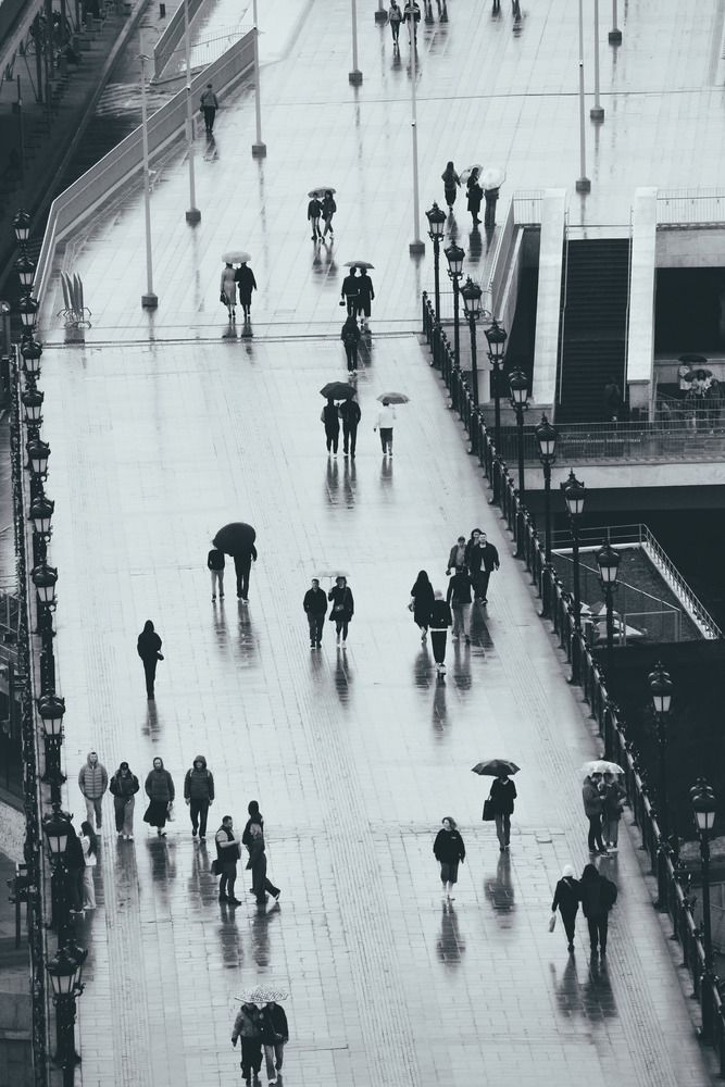 Photograph by Василий Шумкин