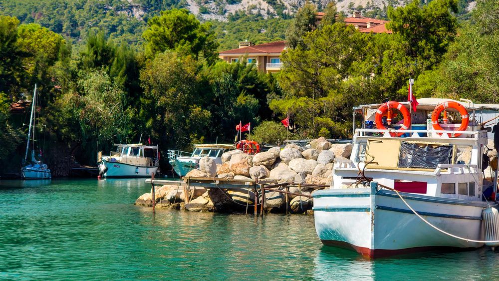 Фотография автора Elena Ku