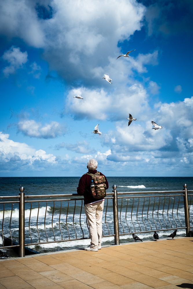 Фотография автора Dmitriy Sotnikov