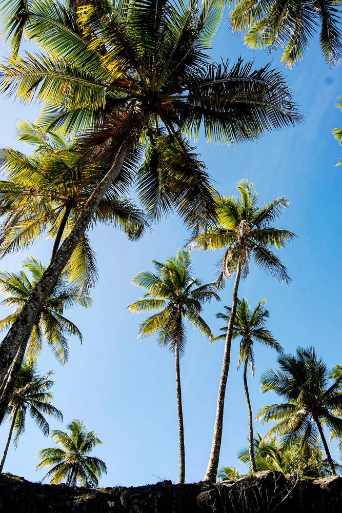 Photograph by Mônica Andrade