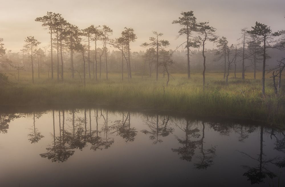 Photograph by Ivan Glinskiy