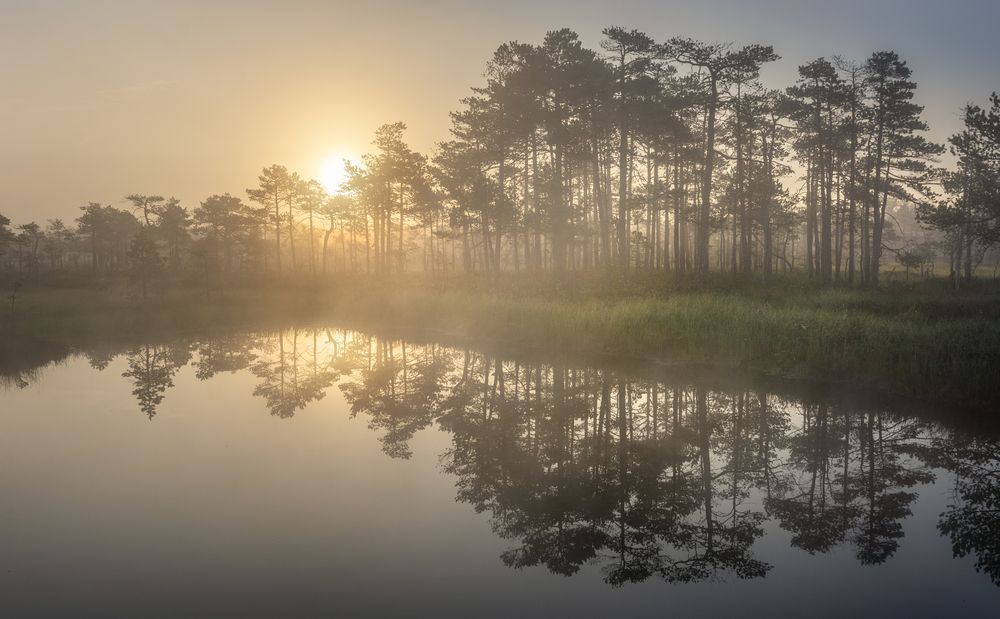 Photograph by Ivan Glinskiy