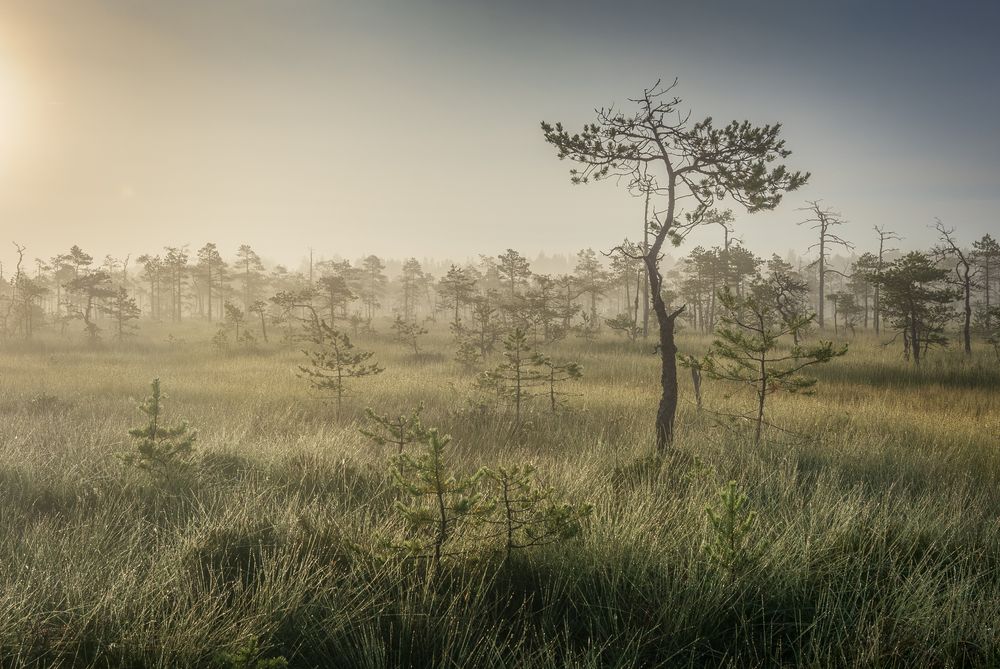 Photograph by Ivan Glinskiy