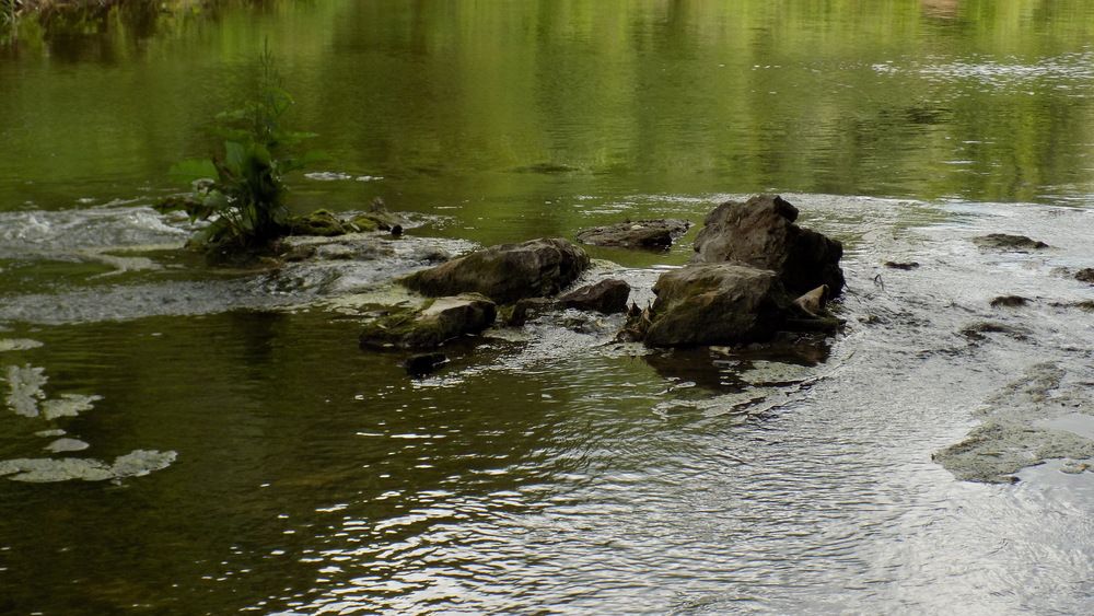 Photograph by Григорий Ветошкин