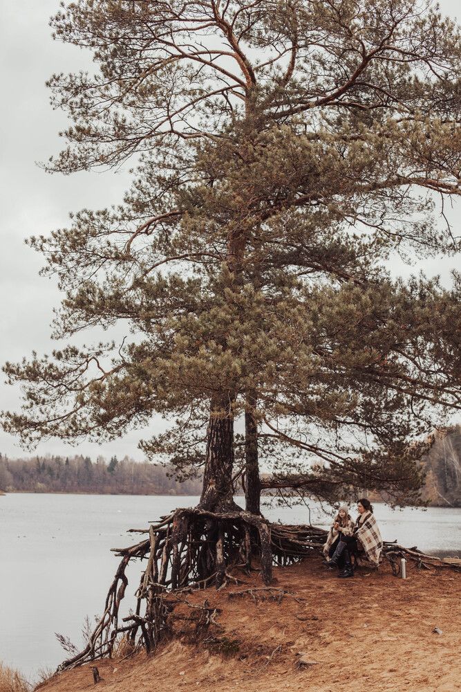 Фотография автора Ирина Дроздова