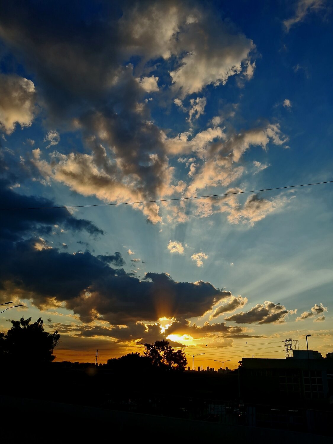 Photo #12905427