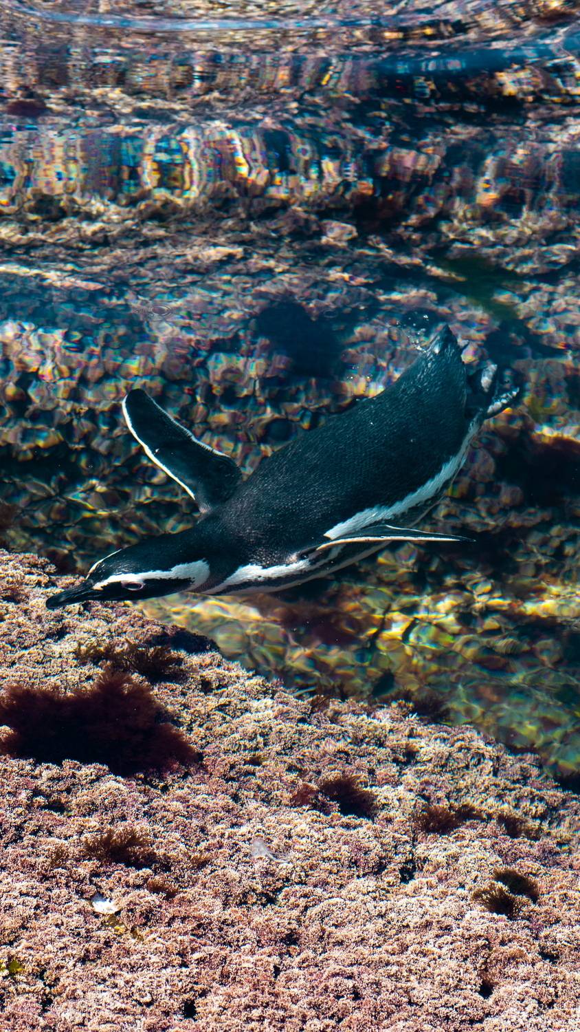 Фотография #12905431