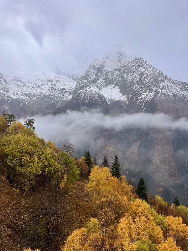 Photograph by Дарья Софронова