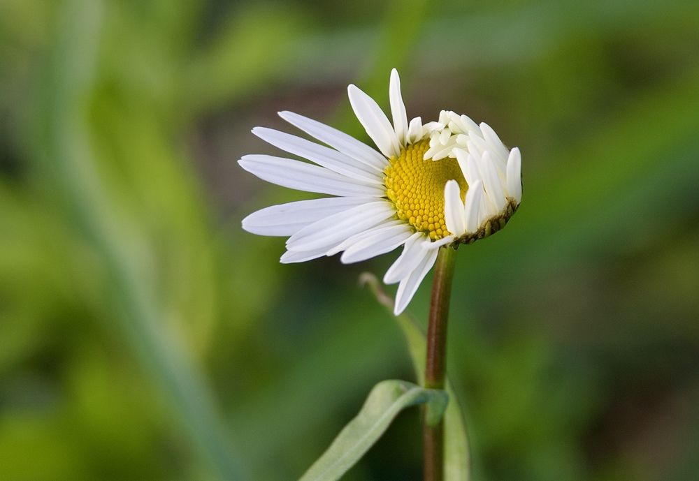 Photograph by Борис Захаров