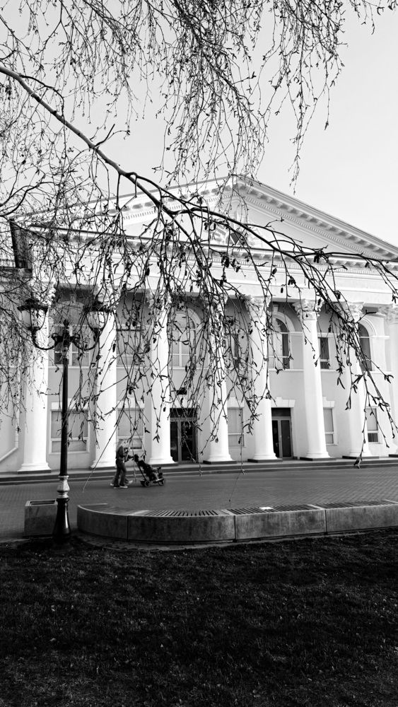 Photograph by Елена Гущина