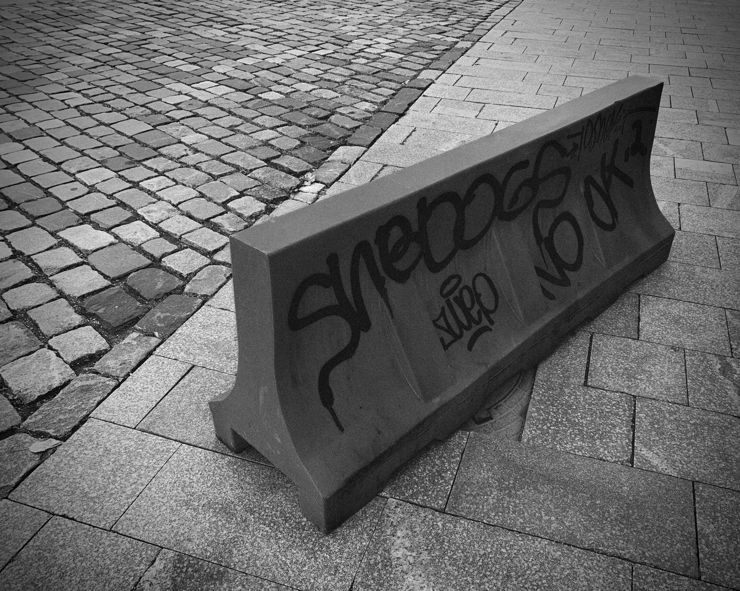Photo #12905673