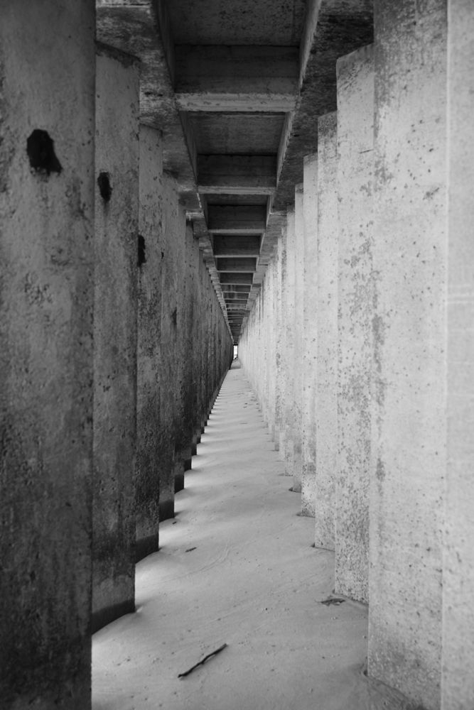 Photograph by Шеин андрей